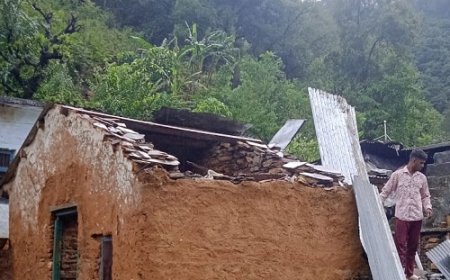 मानसून की शुरुआत से बढ़ी कठिनाइयाँ: गोशाला की छत उड़ने और बिजली कटौती का सामना