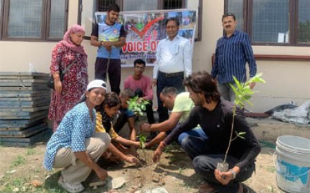 हल्दूचौड़ महाविद्यालय में वृक्षारोपण अभियान के तहत किया गया पौधारोपण