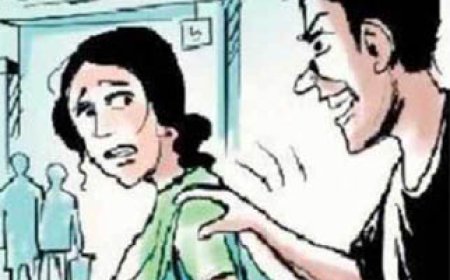 महिला के साथ जबरदस्ती की कोशिश: स्कॉर्पियो की एनओसी और हाईस्कूल मार्क्सशीट विवाद