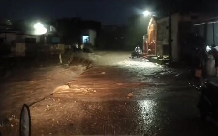 अल्मोड़ा, बागेश्वर, नैनीताल में बारिश का येलो अलर्ट, रात 9 बजे तक सावधानी बरतें
