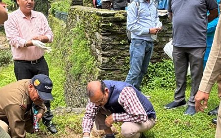 जागेश्वरधाम में सजावटी और औषधीय पौधों का रोपण अभियान