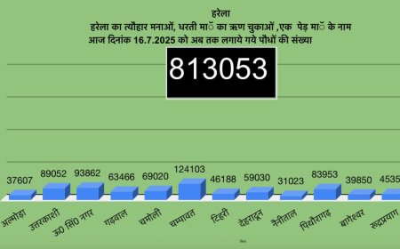 उत्तराखंड में हरेला पर्व: हरित क्रांति का उत्सव, 8 लाख 13 हजार से अधिक पौधे रोपे गए
