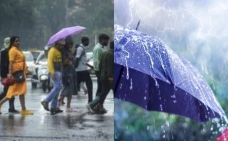 उत्तराखंड मौसम अपडेट: भारी बारिश का IMD अलर्ट, सात जिलों में स्कूल बंद