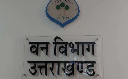 उत्तराखंड वन विभाग में भ्रष्टाचार का भयानक खेल, मंत्री जी का दामाद अब तक बचा