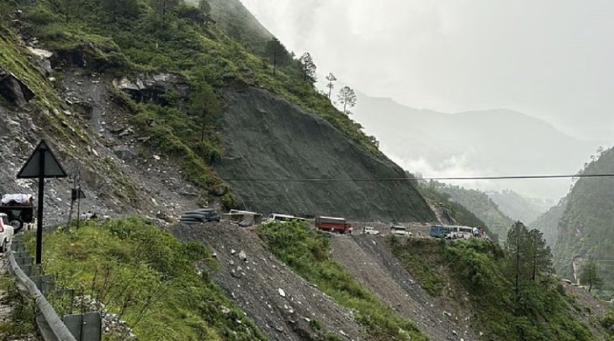 उत्तराखंड में आफत बनकर बरस रही बारिश, राज्य में 87 सड़कें बंद, इन जिलों में येलो अलर्ट, आज बंद रहेंगे स्कूल