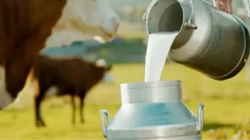 अजब-गजब! प्रेमी के साथ भागी पत्नी, ’40 लीटर दूध’ से नहाकर बोला पति…मैं अब आज़ाद हूं!