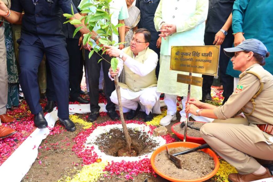 Uttarakhand: हरेला पर्व पर राज्यव्यापी पौधारोपण कार्यक्रम में मुख्यमंत्री ने रोपा रुद्राक्ष का पौधा