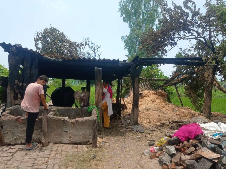 बिंदुखत्ता गौशाला में लगी भीषण आग: मवेशी और भूसा खाक . महिला घायल, विधायक ने किया निरीक्षण