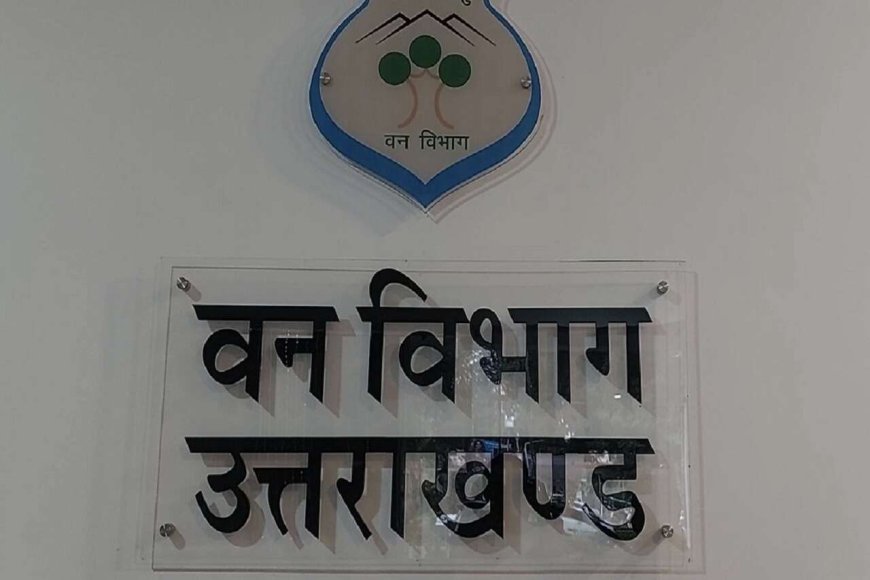 जंगलों में सुलगी भ्रष्टाचार की आग, पूर्व में मुख्यमंत्री ने बचाया, अब तक मंत्री जी का दामाद बेदाग