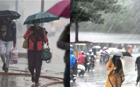 उत्तराखंड मौसम अपडेट: 12 अगस्त को भारी बारिश का अलर्ट, स्कूल बंद