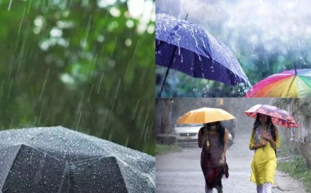 उत्तराखंड में आज का मौसम 20 अगस्त: भारी बारिश का यलो अलर्ट, 8 जिलों में बनी स्थिति गंभीर
