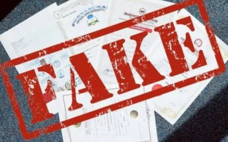 सिंचाई विभाग की महिला अधिकारी के खिलाफ फर्जी दस्तावेजों के मामले में मुकदमा