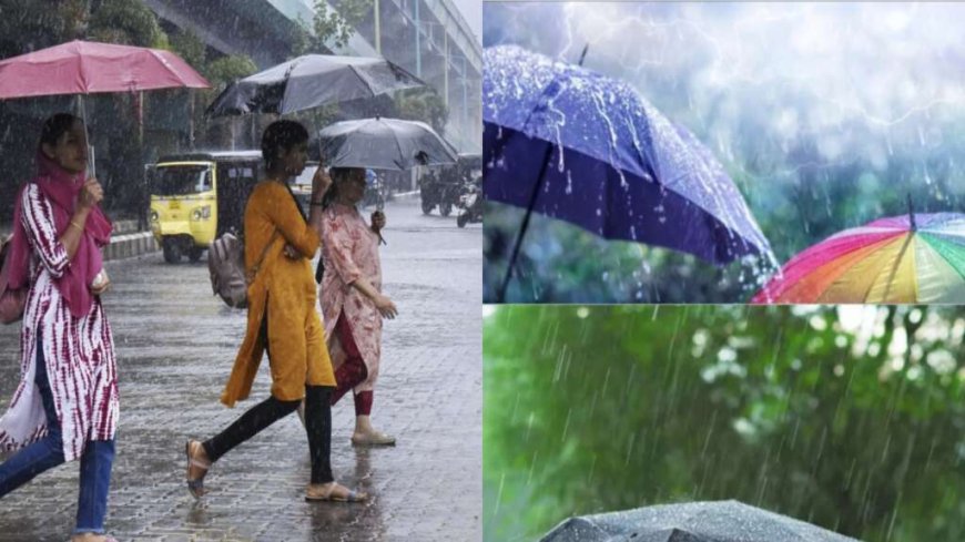Weather: उत्तराखंड में कल रक्षाबंधन पर मौसम , भारी बारिश- बिजली का IMD अलर्ट इन जिलों में