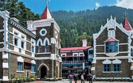 नैनीताल जिला पंचायत चुनाव विवाद: हाईकोर्ट में सुनवाई के बाद क्या होगा अगला कदम?