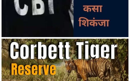 कार्बेट टाइगर रिज़र्व घोटाला: सुप्रीम कोर्ट के आदेश के बाद उत्तराखंड सरकार और वन विभाग की चुनौतियाँ बढ़ी