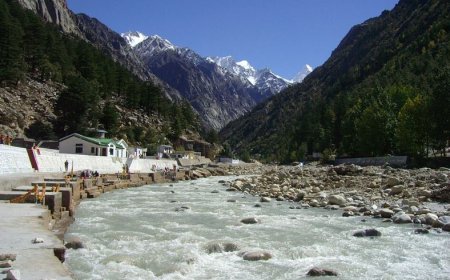 उत्तराखंड में पीडीएनए प्रक्रिया का शुभारंभ, उत्तरकाशी और चमोली के लिए रवाना हुई टीमें