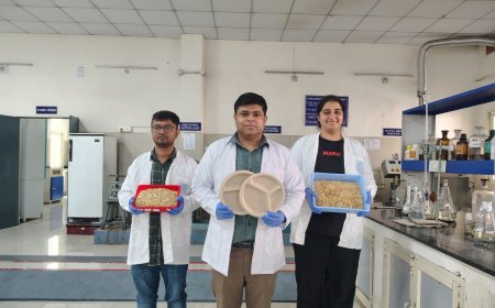 IIT रुड़की का नवाचार: भूसे से बनाया गया पर्यावरणीय टेबलवेयर, प्लास्टिक प्रदूषण के लिए प्रभावी हल