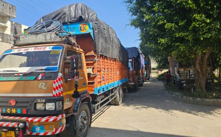 उत्तराखंड में माल ला रहे 10 ट्रांसपोर्टरों के वाहनों की सघन जांच, की गई कार्रवाई