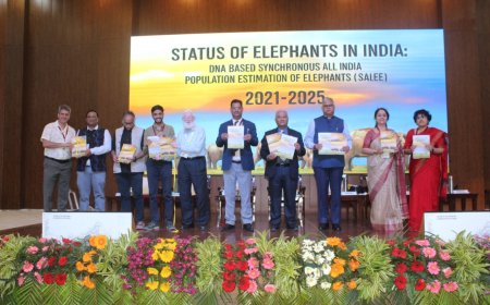 देश में पहली बार डीएनए आधारित हाथी गणना: भारत में 22,446 हाथी, कर्नाटक सबसे आगे, उत्तराखंड पांचवें स्थान पर
