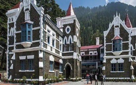 कार्बेट प्रकरण में बड़ा अपडेट: हाई कोर्ट ने पूर्व निदेशक राहुल के खिलाफ मुकदमा चलाने की अनुमति पर लगाई रोक