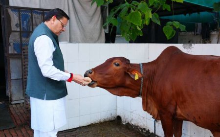 Uttarakhand: सीएम धामी ने गोवर्धन पूजा के अवसर पर की गौमाता की पूजा- अर्चना