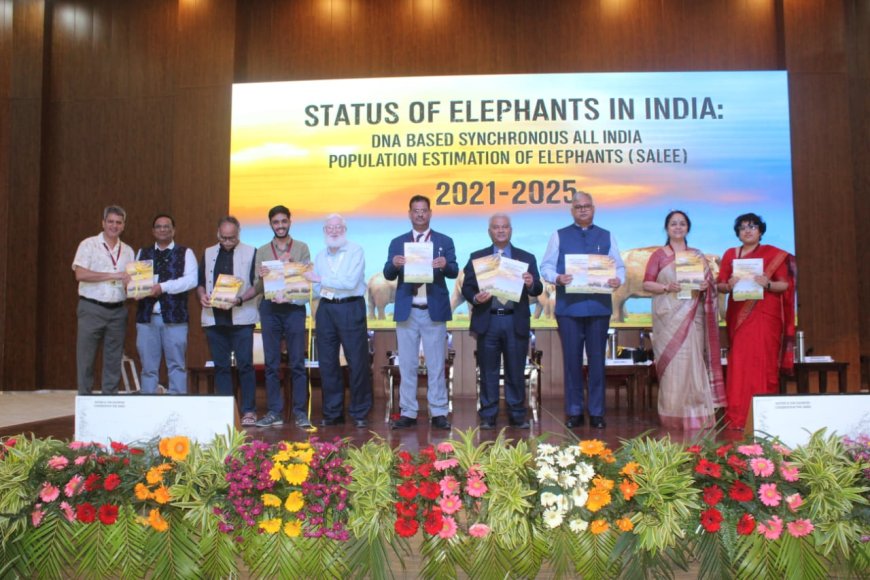 देश में पहली बार डीएनए आधारित हाथी गणना: भारत में 22,446 हाथी, कर्नाटक सबसे आगे, उत्तराखंड पांचवें स्थान पर