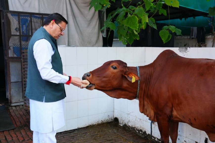 Uttarakhand: सीएम धामी ने गोवर्धन पूजा के अवसर पर की गौमाता की पूजा- अर्चना