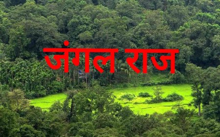 आईएफएस ने दिया जीवन और स्वतंत्रता हवाला, विभाग ने दिया टका सा जवाब