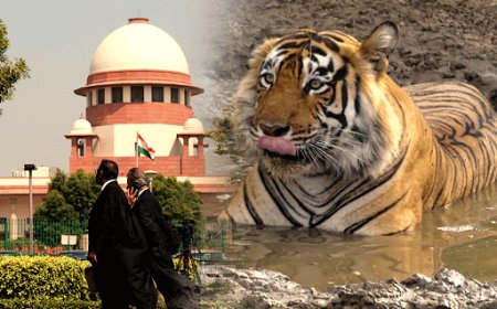 कॉर्बेट टाइगर रिज़र्व में अवैध कटान और निर्माण पर सुप्रीम कोर्ट सख्त, सरकार को कड़े निर्देश