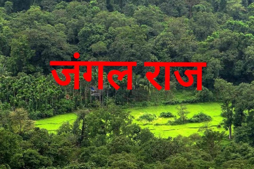 आईएफएस ने दिया जीवन और स्वतंत्रता हवाला, विभाग ने दिया टका सा जवाब