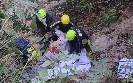 200 फीट गहरी खाई में गिरी बारात की जीप, 5 लोगों की दर्दनाक मौत, 5 गंभीर