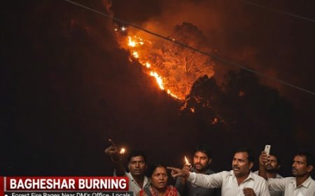 मुख्यमंत्री के दौरे के बीच धू-धू कर जला जंगल