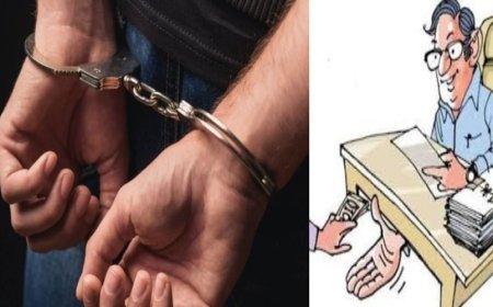 उत्तराखंड विजिलेंस की बड़ी कार्रवाई: 20 हजार रुपये रिश्वत लेते खंड शिक्षा अधिकारी रंगे हाथ गिरफ्तार