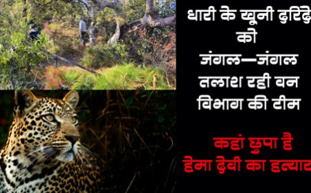 खूंखार तेंदुए की तलाश तेज, वन विभाग ने झोंकी पूरी ताकत