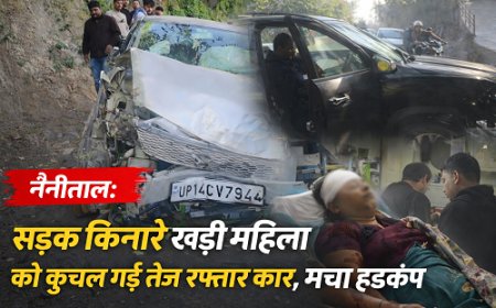 उल्टी कर रही महिला को तेज रफ्तार कार ने कुचला