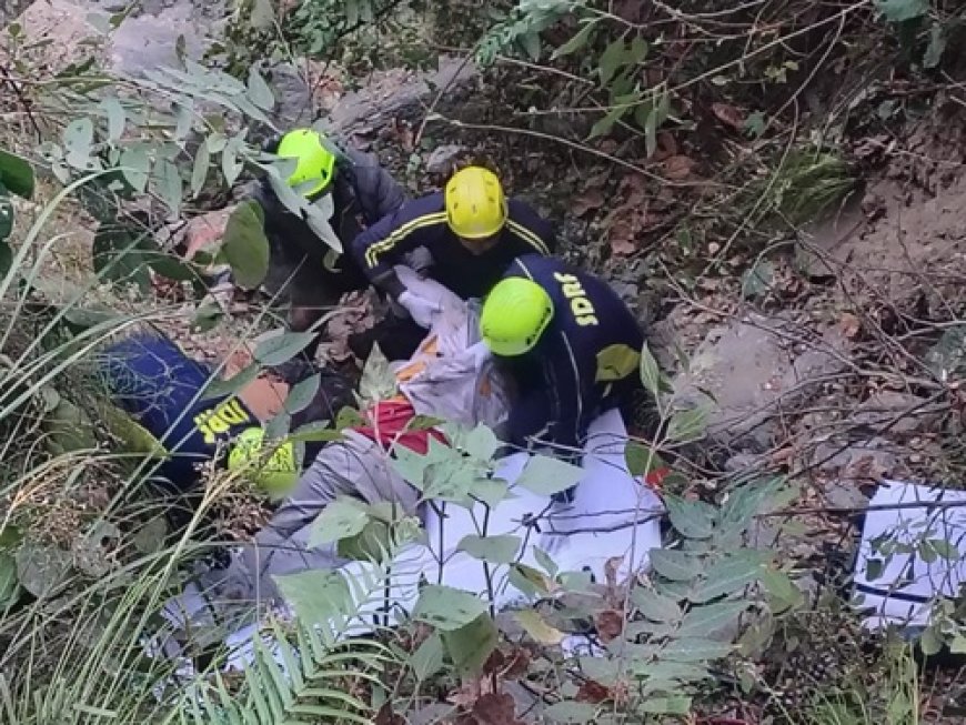 200 फीट गहरी खाई में गिरी बारात की जीप, 5 लोगों की दर्दनाक मौत, 5 गंभीर