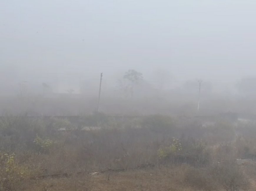 उत्तर भारत में भीषण शीतलहर और घने कोहरे का प्रकोप जारी, आज भी उड़ानें रद्द, रेल यातायात भी प्रभावित 