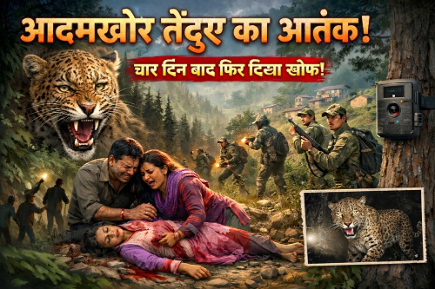 फिर लौटा वो खूनी तेंदुआ! धारी ब्लॉक में रोंगटे खड़े करने वाली आहट