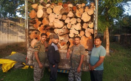 उत्तराखंड: वन विभाग की निर्देशात्मक कार्रवाई, अवैध खैर लकड़ी के साथ डीसीएम पकड़ी गई