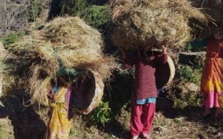 सीएम धामी का सांसदों और राजनीतिक दलों को महत्वपूर्ण पत्र: नारी शक्ति वंदन अधिनियम पर खास चर्चा