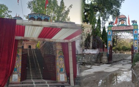 राजाजी टाइगर रिजर्व के कोर जोन में मंत्री के बेटे की शादी का विवाद, वन विभाग ने की कार्रवाई