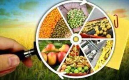 चारधाम यात्रा में खाद्य सुरक्षा पर उठाए गए सख्त कदम, 33 नमूने जांच के लिए भेजे