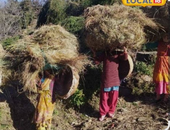 सीएम धामी का सांसदों और राजनीतिक दलों को महत्वपूर्ण पत्र: नारी शक्ति वंदन अधिनियम पर खास चर्चा