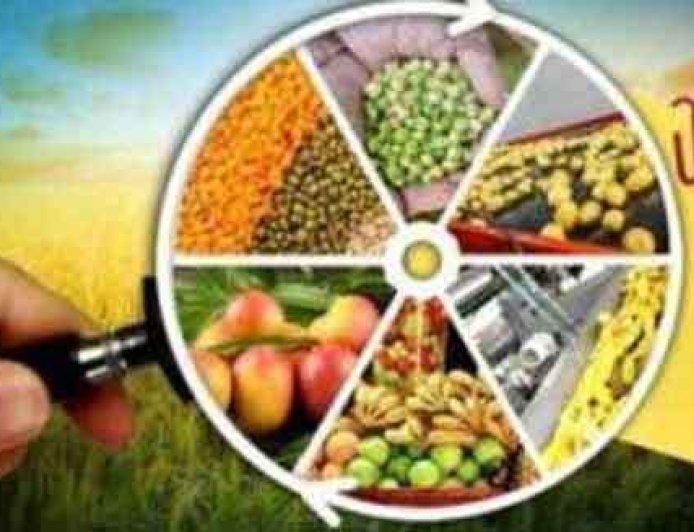 चारधाम यात्रा में खाद्य सुरक्षा पर उठाए गए सख्त कदम, 33 नमूने जांच के लिए भेजे