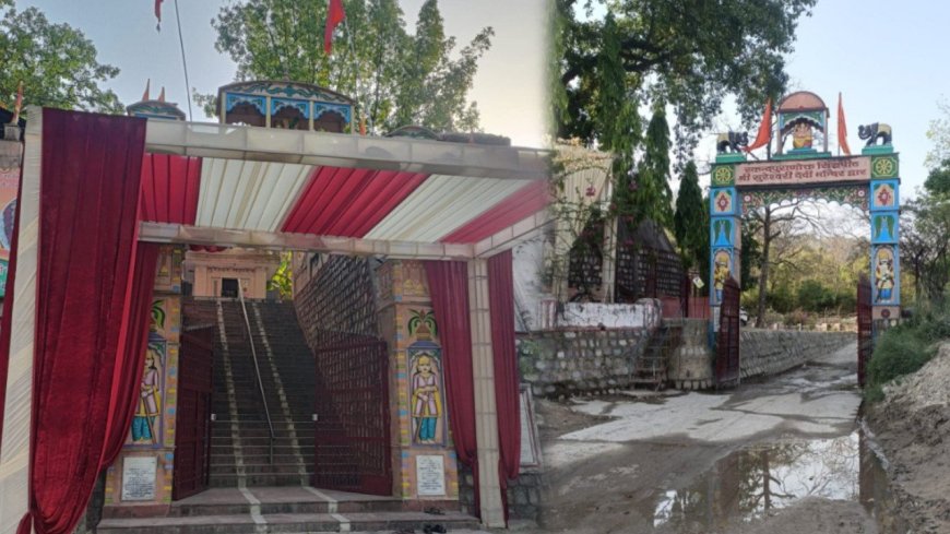 राजाजी टाइगर रिजर्व के कोर जोन में मंत्री के बेटे की शादी का विवाद, वन विभाग ने की कार्रवाई