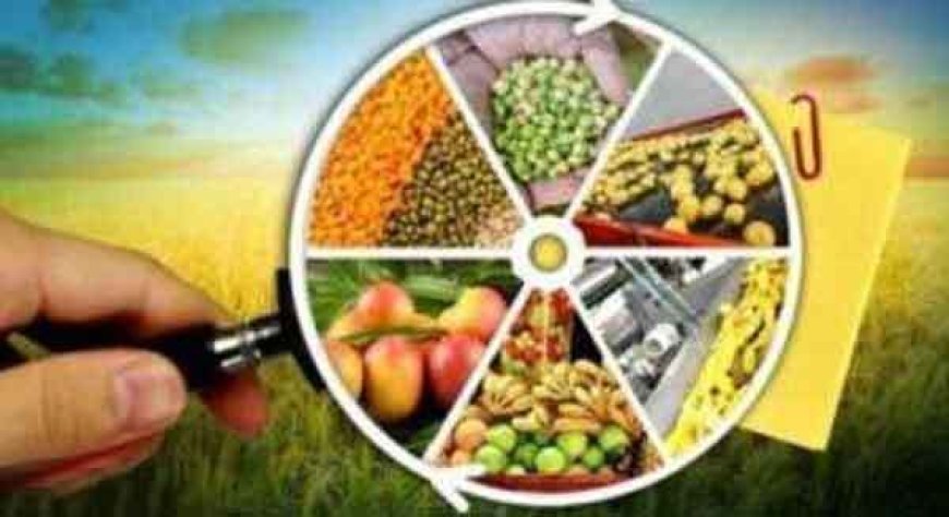 चारधाम यात्रा में खाद्य सुरक्षा पर उठाए गए सख्त कदम, 33 नमूने जांच के लिए भेजे