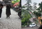 उत्तराखंड में मौसम परिवर्तन: देहरादून व मसूरी में आई बर्फबारी से मिली गर्मी से राहत