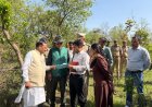 उत्तराखंड: नर और मादा बाघ की हत्या से मचा हड़कंप, वन मंत्री ने लिया श्यामपुर रेंज का दौरा