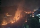 उत्तराखंड में वनाग्नि का संकट गहराता, 350 से अधिक घटनाओं में सैकड़ों हेक्टेयर बर्बाद