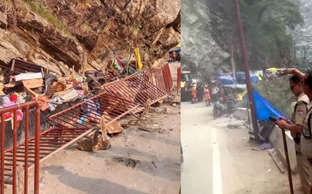 केदारनाथ यात्रा पर गिरा बोल्डर, एक युवक की मौत, दूसरा घायल - यात्रा का मार्ग सामान्य